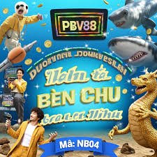 bongda5